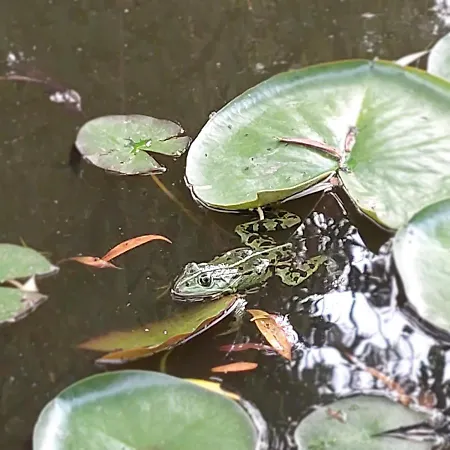 Апартаменты Spreewaelder Sorbenstuebchen *